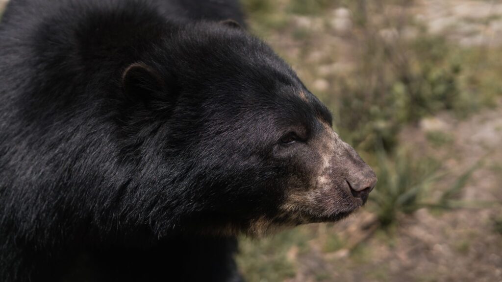3 danilo arenas pnn chingaza osodsc04280 2 2048x1152