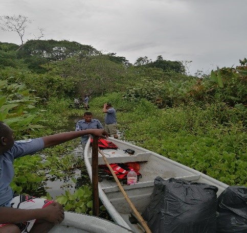 actividades de campo pvc katios
